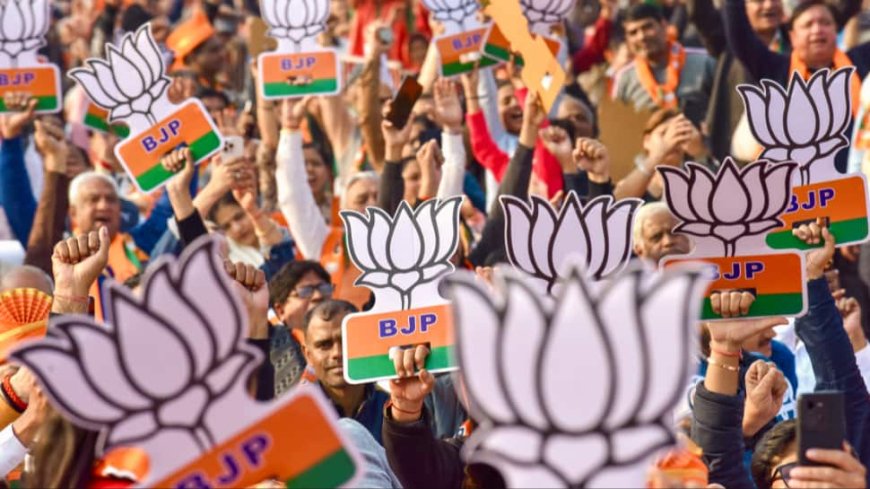 Gujarat Local Body Elections: BJP Establishes Strong Lead As Counting Continues