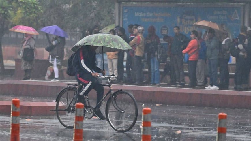 Weather Update: Rain Hits Delhi; Will The Capital See More Showers Today? IMD Says...