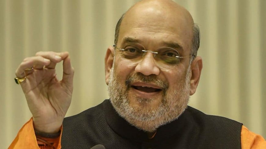 People Of Delhi Ended Reign Of Deceit And Breach Of Promise, Chosen BJP: Amit Shah