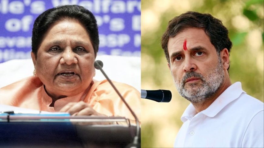 `Look Within Yourself Before...`: Mayawati Launches Fresh Attack On Rahul, Congress; Warns BJP