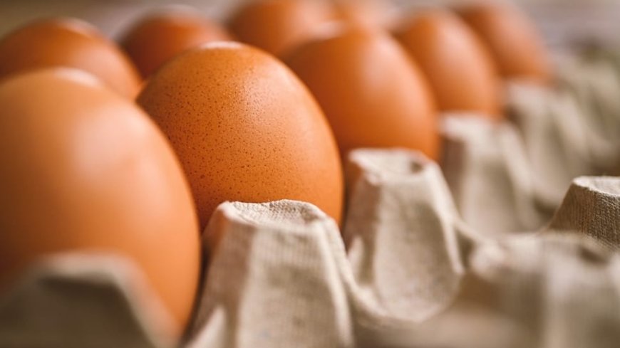 Ande Ka Funda: Egg Prices Skyrocket In THIS Country With Rs 36 A Piece; Not Pakistan, Bangladesh