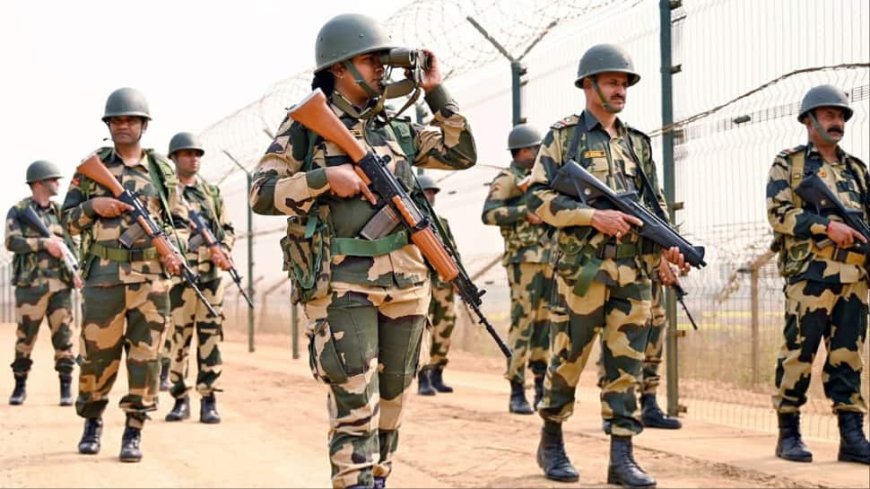 BSF Thwarts Infiltration Bid, Guns Down Pakistani Intruder Along International Border In  Pathankot Region