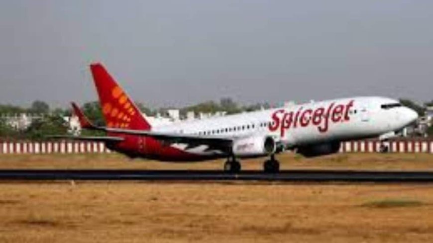 SpiceJet's Revenue Nosedives 36 Per Cent In Q3, Losses Deepen To Rs 441 Crore In Q2