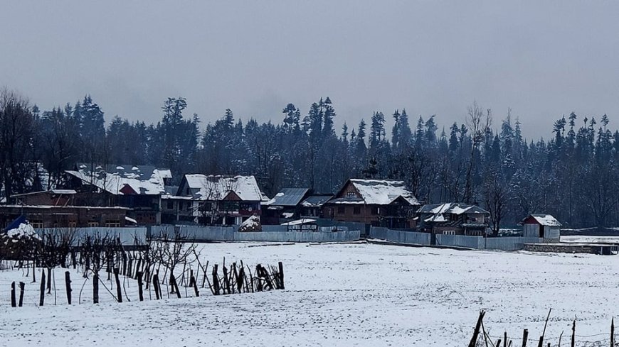 After Months Of Dry Spell, Kashmir Welcomes Fresh Rain And Snow, Providing Relief To People