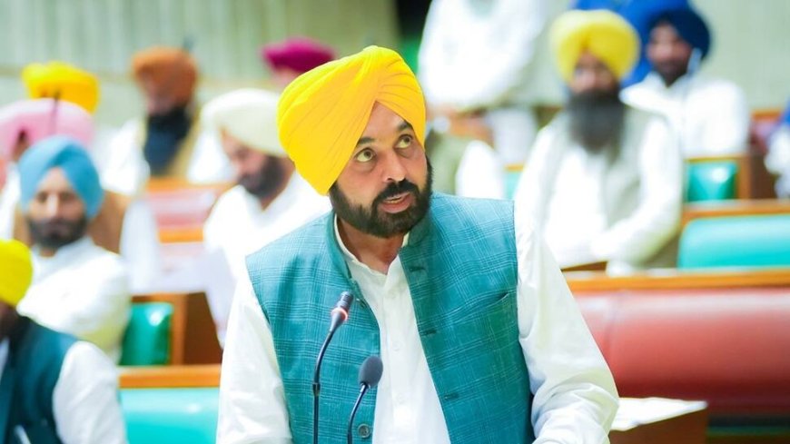 Punjab Govt Makes Punjabi Compulsory Subject In All Schools Amid CBSE Draft Norms Row