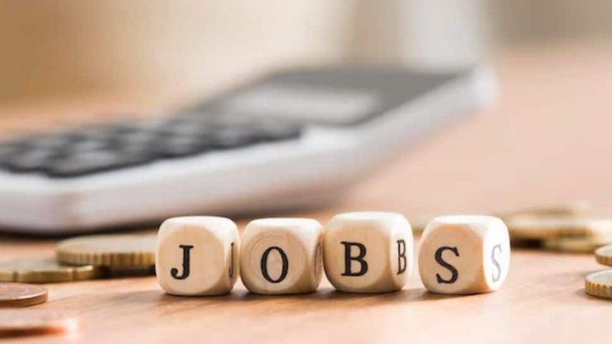 Indian White-Collar Job Market To See Hiring Surge In 2025 1st Half