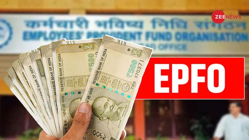 Provident Fund Interest Rate For 2024-25 Announced By EPFO --Details You Want To Know