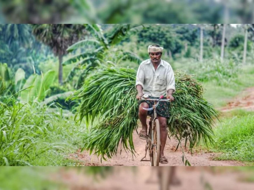 30 Lakh Farmers Come On Board Centre's FPO Scheme To Boost Earnings