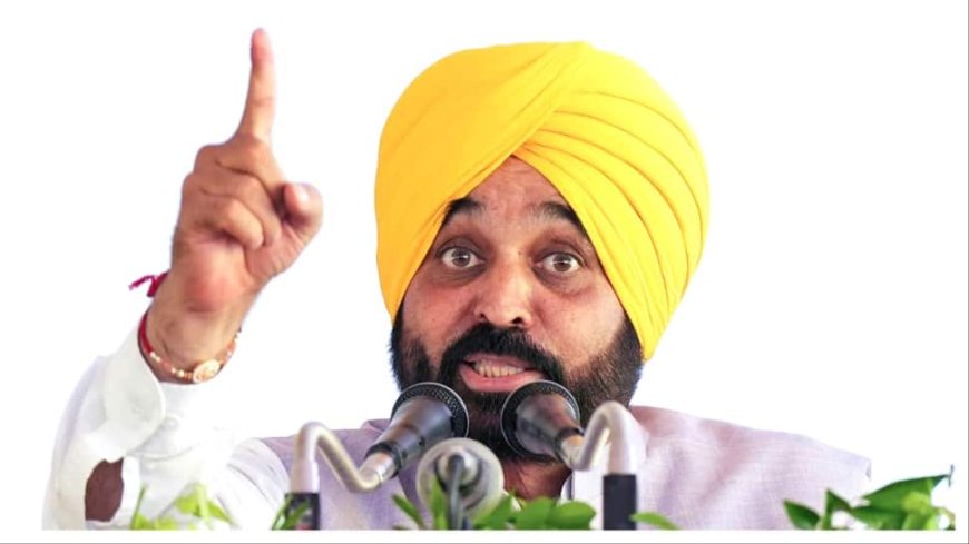 Punjab Govt Plans Crackdown On Drugs: CM Mann Sets 3-Month Deadline To End Menace In State