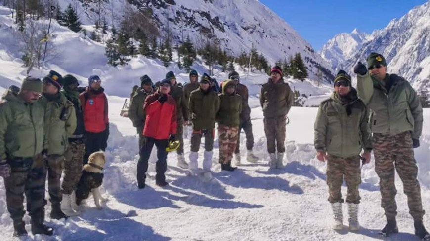 Uttarakhand Avalanche: Toll Climbs To 7, Search Ops Continue In Chamoli For 1 Remaining Worker