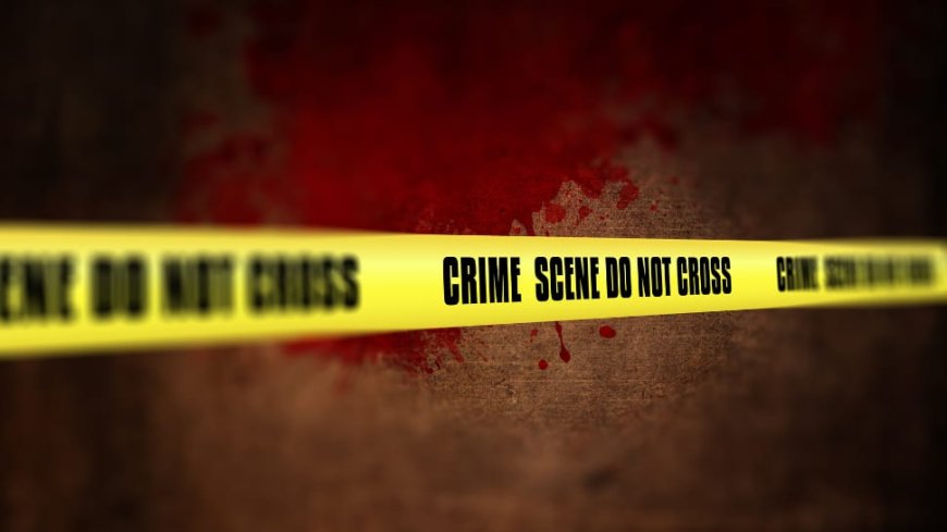 Odisha Woman Kills Husband, Surrenders Before Police