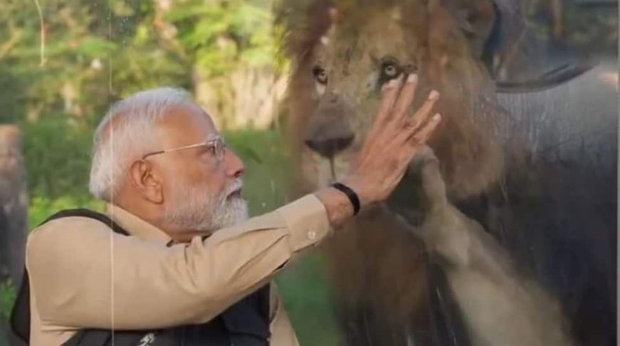 PM Narendra Modi Inaugurates And Visits Vantara: A Wildlife Rescue, Rehabilitation, And Conservation Centre In Gujarat