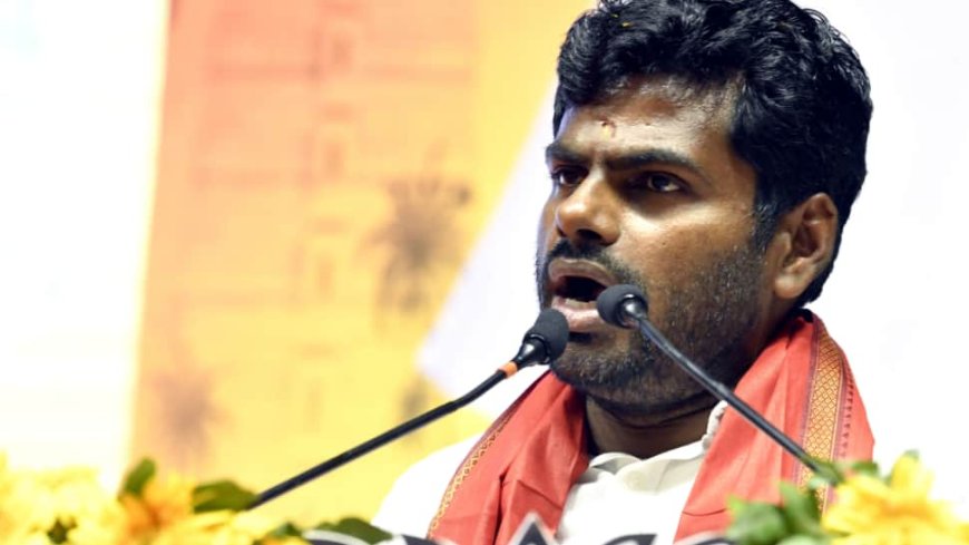 ‘Your Rants Mean Nothing...’: Annamalai Slams Stalin Amid Third Language Policy