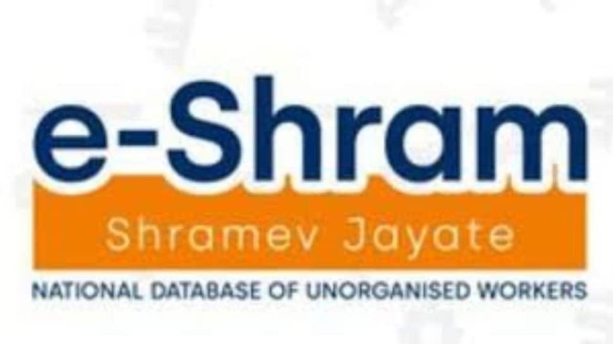 E-Shram Portal: Over 50 Per Cent Women Among 30.68 Crore Workers Listed For Benefits