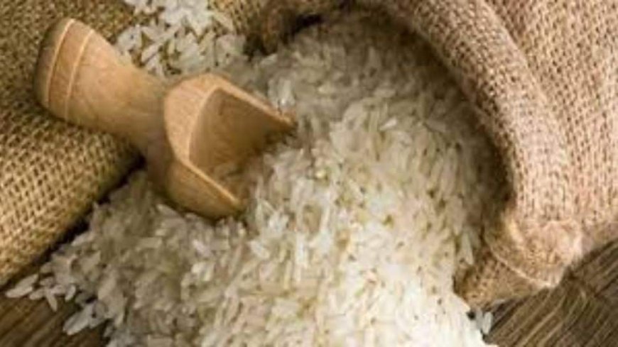 India Produced Record Rice, Wheat, Maize In 2024-25, Estimates Centre