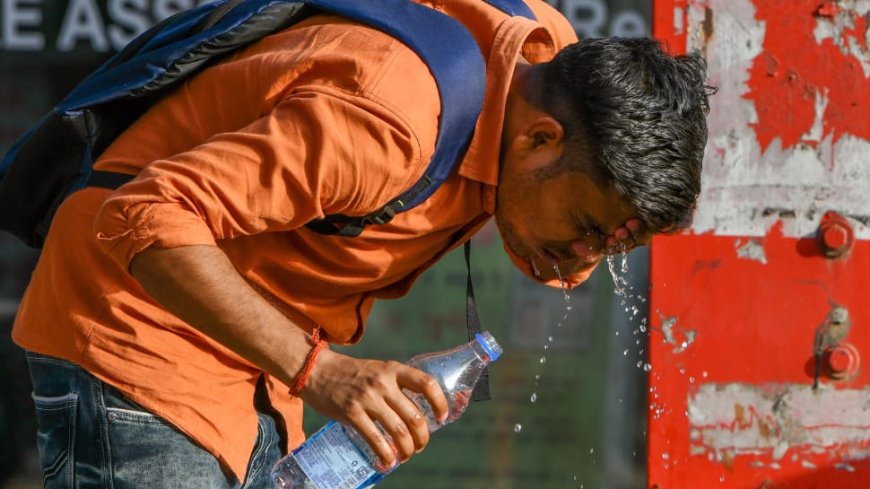 Heatwave Alert: IMD Warns Of Severe Heatwave in Rajasthan, Mumbai – Check Forecast