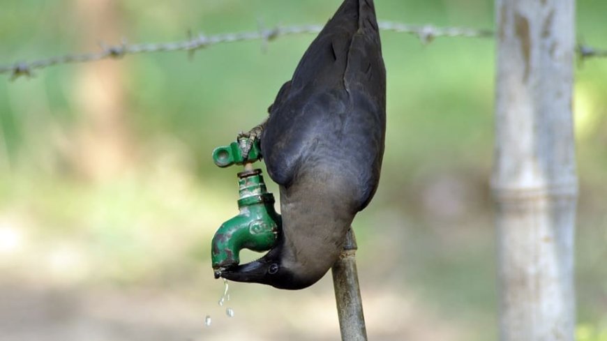 March Mayhem: Mercury Soars To 40 Degrees Celsius At Eight Places In Odisha