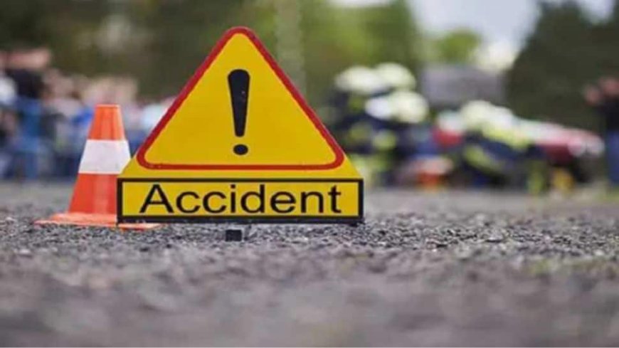 Gujarat: Woman Dies In Drunk Driving Accident In Vadodara, Accused Held