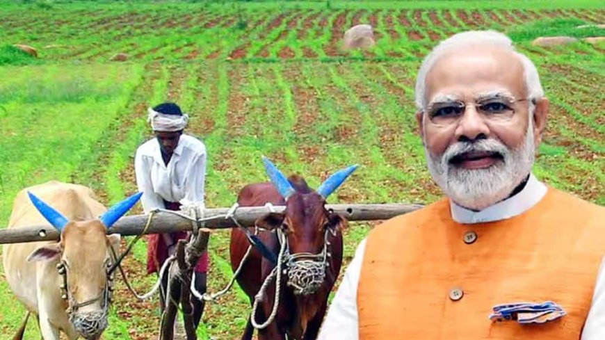 PM Kisan Yojana: Want To Update Your Mobile Number? Here's How To Do It Without Aadhaar Card– Check Steps