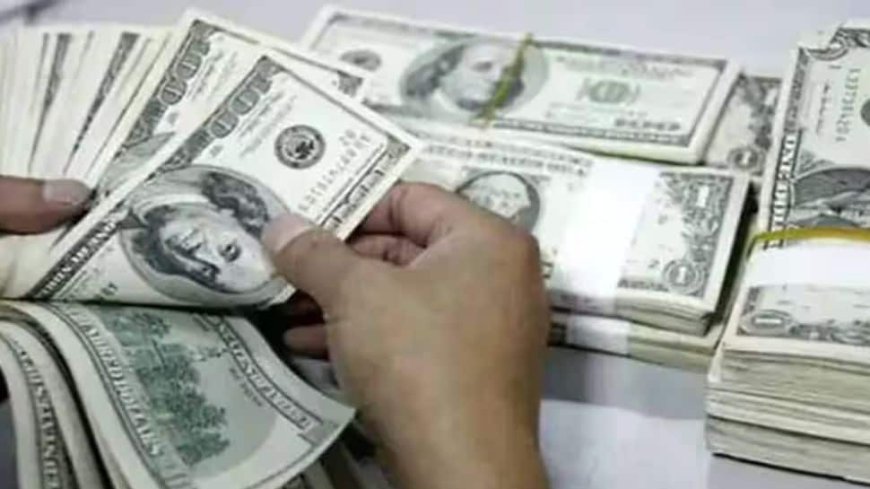 India’s Forex Reserves See Sharpest Rise In 2 years