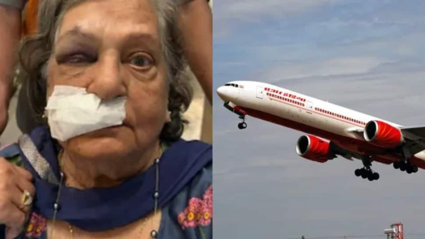 Govt To Issue Show Cause Notice To Air India On Wheelchair Non-Availability To Elderly Woman: Minister