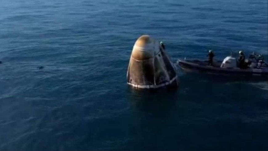 Welcome Home Sunita Williams: Dolphins Greet Astronaut As She Returns Home After Space Mission — WATCH