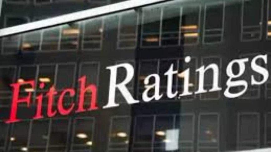 India’s Large Domestic Market To Cushion Blow From US Tariff Hike: Fitch