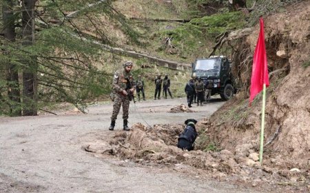 Indian Army Defused 12 Kg IED In Jammu And Kashmir`s Kupwara