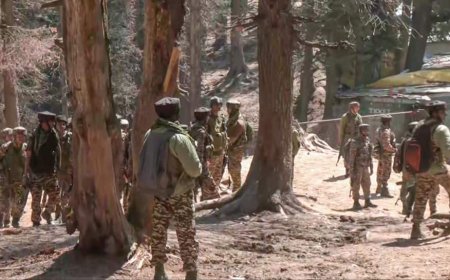 Pahalgam Terror Attack: 3 Pakistan Nationals, 2 Kashmiris Among 5 Terrorists Identified As Probe Intensifies In Kashmir — 10 Points