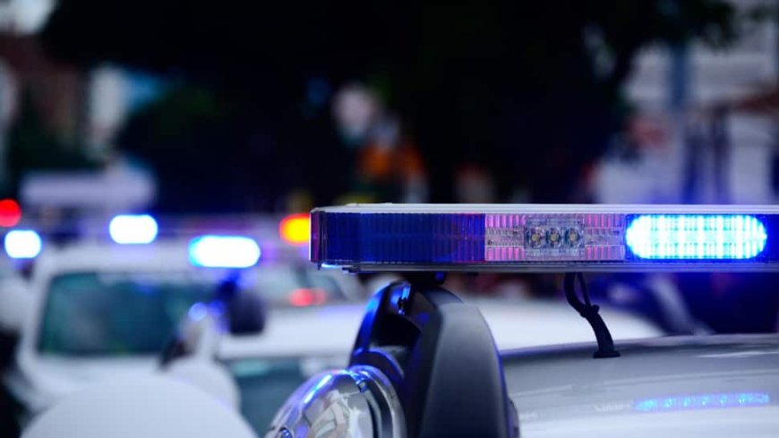 US: Plane Carrying 3 People Crashes In South Florida Near Major Highway
