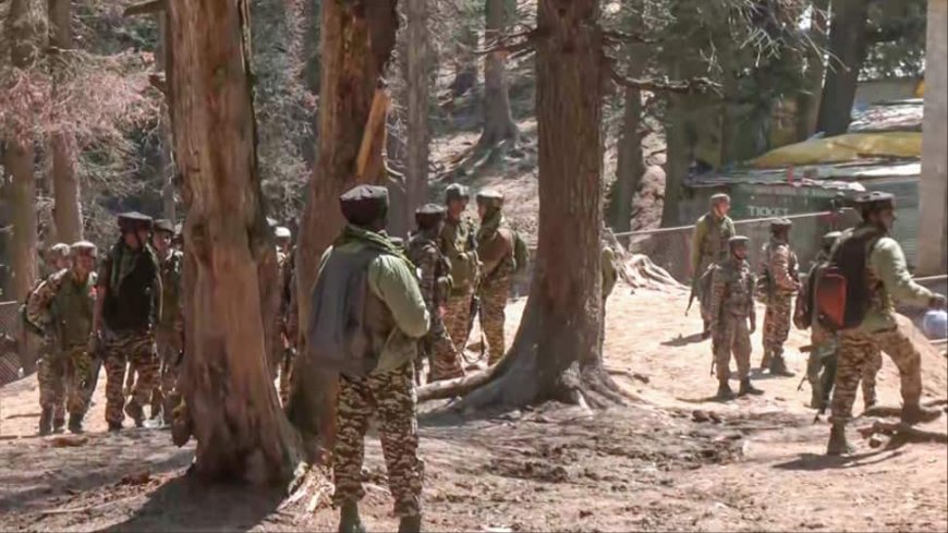Pahalgam Terror Attack: 3 Pakistan Nationals, 2 Kashmiris Among 5 Terrorists Identified As Probe Intensifies In Kashmir — 10 Points