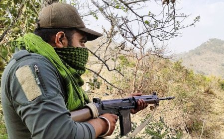 J&K: Fresh Pakistan Firing Reported In 3 LoC Sectors Amid Pahalgam Attack Tensions