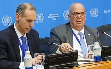 ‘Meeting On India-Pakistan Tensions Possible’: UNSC President