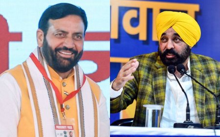 Punjab Vs Haryana Water Row Explained: Why BBMB Is Causing Water War Between Two States