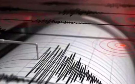 7.4 Magnitude Earthquake Strikes Near Southern Coasts Of Argentina