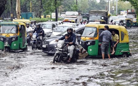 Weather Update: Delhi Records Second-Highest Rainfall In 24 Hours Since 1901