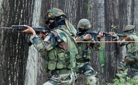 Pahalgam Attack: DG NIA To Submit Preliminary Report To MHA As Crackdown On Terror Network Expands Beyond Valley