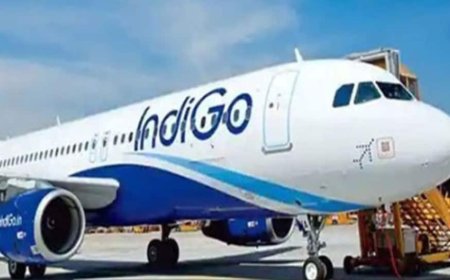 Passenger Behaves `Inappropriately` On Delhi-Shirdi IndiGo Flight With Staff, Airline Responds