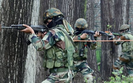 Pakistani National Nabbed By BSF After Allegedly Crossing Border In Punjab`s Gurdaspur