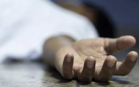 Gujarat: Four People Drown In Shetrunji River In Amreli