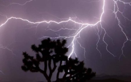 Three Killed, Four Injured In Lightning Strike Near Patna