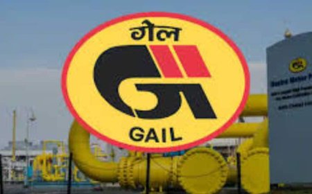 GAIL Hikes Startup Investment Fund To Rs 500 Crore In FY25: Hardeep Puri