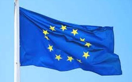 EU Says Every State Has Right To Protect Its Citizens Amid Escalating Tensions Between India-Pakistan