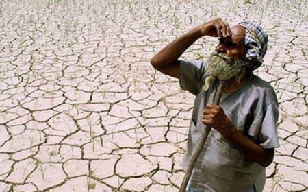 World`s Richest 10 Per Cent Responsible For Most Global Warming Since 1990, Study Finds
