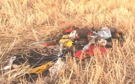 India-Pakistan War: Pakistani Fighter Jets Shot Down in J&K, Pilots Yet To Be Located