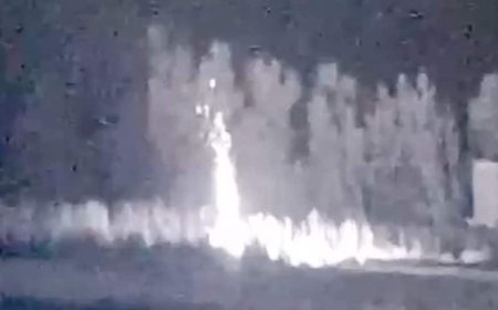 Indian Armed Forces Destroy Pakistani Posts, Launch Pads; Intercept Multiple Pakistani Drones