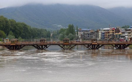Ceasefire Initiated By Pakistan, No Preconditions Set; Indus Water Treaty Suspended: MEA Sources