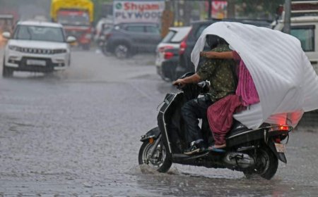 Weather Update: IMD Issues Yellow Alert For Heavy Rainfall And Heatwave Across India