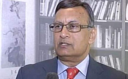 Without America, Pakistan Couldn’t Have Faced India, Says Ex-Envoy