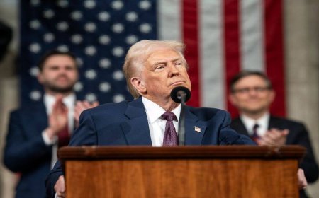 ‘Unacceptable Interference’, ‘Not Washington’s Job’: Who Said What on Trump’s Kashmir Mediation Offer